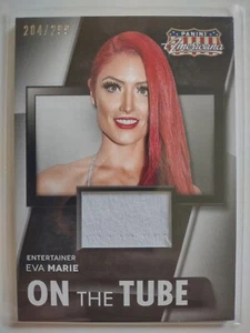 WWE Eva Marie 2015 Panini Americana On The Tube Worn Relic Card SN 204 of 299 - Picture 1 of 2