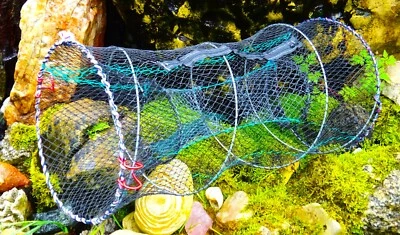 Köderfischreuse Aalreuse Krebsreuse Fischreuse mit Futterfach XXl gummierts Netz - Bild 1 von 3