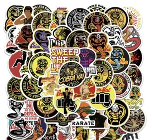 10 Random Cobra Kai Movie Stickers Car Decals Hydro Laptop Binder Free Shipping! - Picture 1 of 1