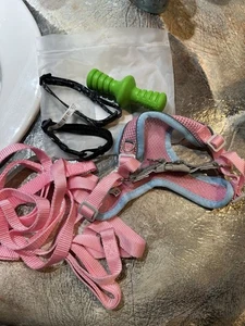 Geschirr Größe XS und Kragen Größe XS - Bild 1 von 5