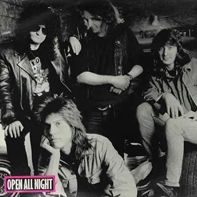 Open All Night by The Georgia Satellites [VINYL] - Bild 1 von 2