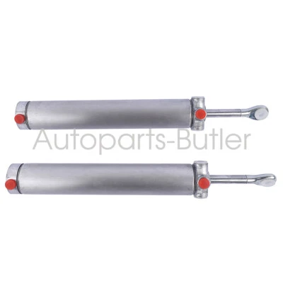 Pair Convertible Top Hydraulic Cylinder for Buick Riviera 82-85 Mustang 94-98 - Image 1 of 4