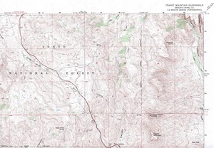 Teapot Mountain Quadrangle Arizona 1964 USGS Topo Map 7.5 Minute Topographic - Picture 1 of 2