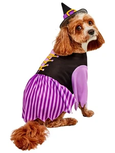X-Large Witch Pet Costume Dress & Hat, Halloween/Themed Party Fun & Cute Outfit - Picture 1 of 7