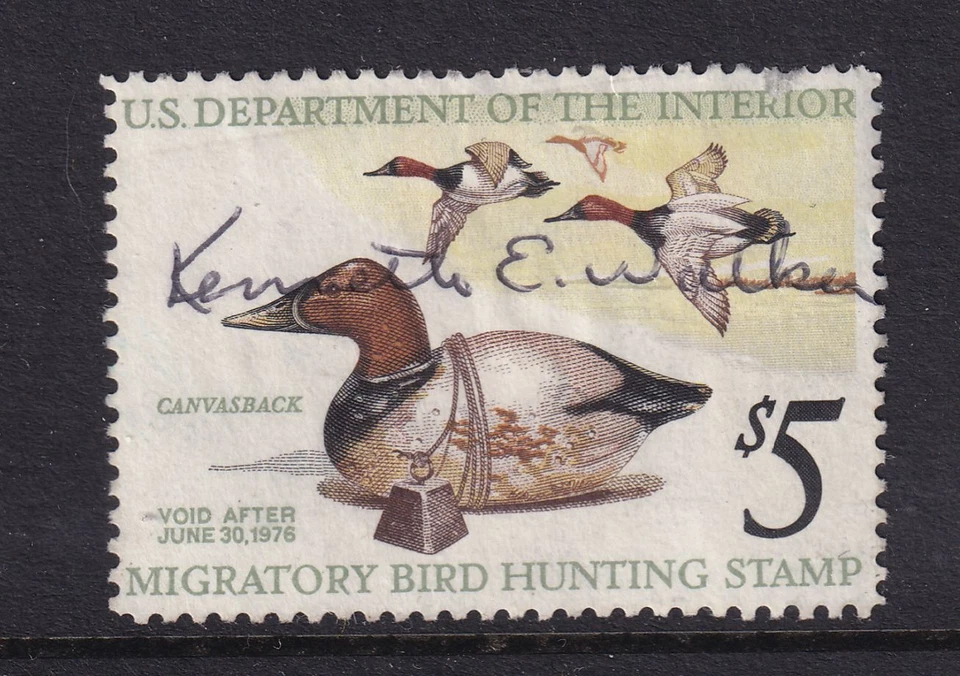 1975 Federal Duck Hunting Stamp $5 Sc RW42 used single stamp Canvasback (UB - Image 1 of 1