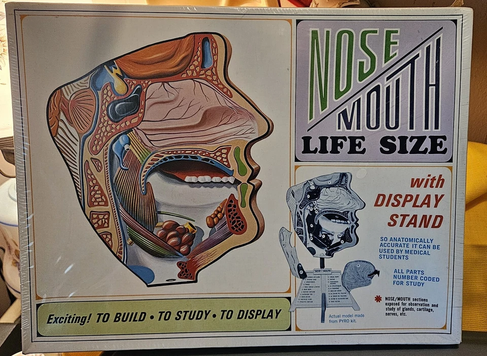Vintage 1968 Pyro Nose Mouth Anatomy Life Size Model Kit Unassembled New In Box - Image 1 of 4