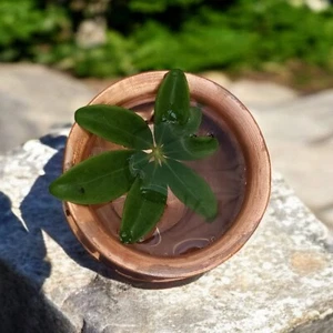 Kalash de cobre, Kalash de cobre hecho a mano, Kalash Lota para Festival Puja Lota - Imagen 1 de 8