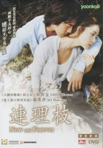Now and Forever (2006) Korean Movie English Sub _ DVD Region 3 _ Choi Ji-woo - Picture 1 of 6