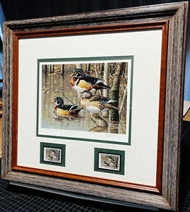 Stampa timbro James Hautman 1999 Arkansas Duck con doppi francobolli cornice nuova - Foto 1 di 5