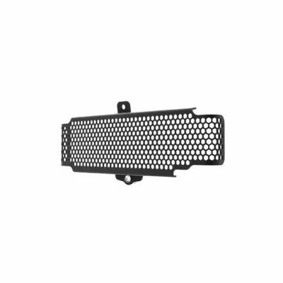 Protector enfriador de aceite EP - Triumph Speed Triple (2011-2015) Foto 1 de 4