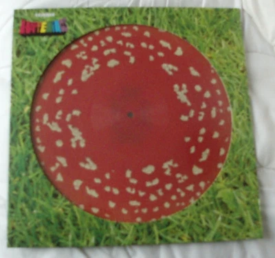 KASABIAN - Happenings 'Trippy Shroom' Picture Disc VINYL Album Ltd Ed *NEW* - Image 1 of 2