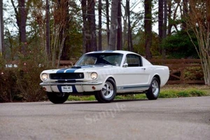 Póster fotográfico retro de alta resolución con impresión decorativa de pared Ford Mustang GT350 - Imagen 1 de 1