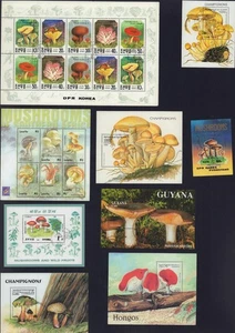 WELTWEIT PILZE KONVOLUT 8 BLOCKS PILZE - Bild 1 von 1