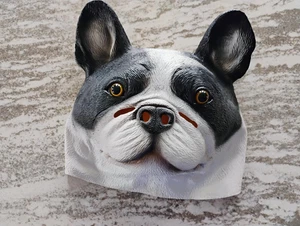 Máscara de Halloween Boston Terrier tamaño adulto, como nueva, ¡ENVÍO GRATUITO! - Imagen 1 de 2