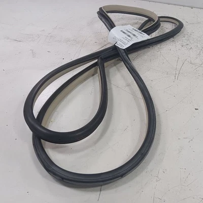 INFINITI QX50 en carrocería puerta jamba sello pasajero delantero derecho 2017 2016 2015 2014 Foto 1 de 4