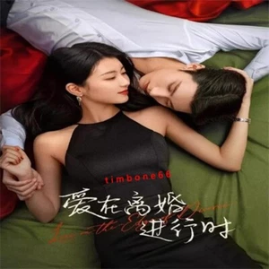 2025 Chinese LOVE AT EDGE DIVORCE DVD-9 爱在离婚进行时 Chinese Sub BOXed 爱情 - Picture 1 of 3