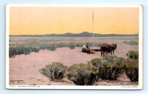 1920s Phostint Fred Harvey AZ Postcard Painting Of Arizona Afterglow Lungren - Picture 1 of 2