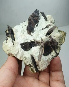 Axinite Cluster With Amphibole From Skardu Pakistan - Picture 1 of 8