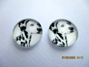 DALMATION DOG GLASS STUD EARRINGS 12MM - Picture 1 of 1