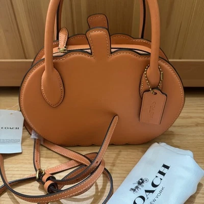 NWT 🎃 Coach pumpkin bag - Image 1 of 4
