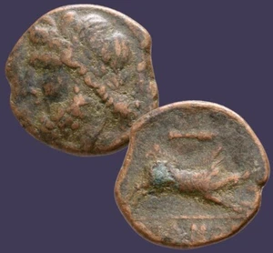 Archaios | Apulia ARPI Zeus / Lanza de Jabalí | AE | 63.18 - Imagen 1 de 4
