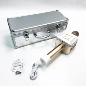 TOSING 016 Wireless Karaoke Mikrofone Bluetooth Lautsprecher 20W Portable KTV - Afbeelding 1 van 7