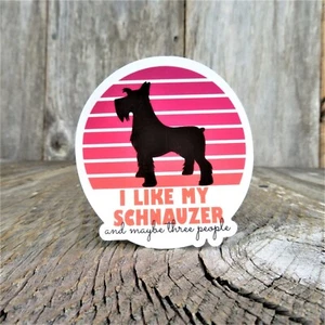 I Like Schnauzers Aufkleber sarkastischer Hundeliebhaber lustig antisozial Retro Sonnenuntergang Pin - Bild 1 von 6