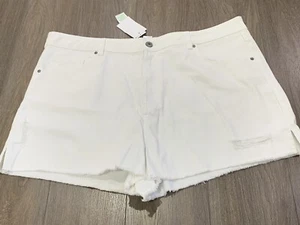 Ladies size 20 White ANKO Denim Distressed Shorts - *NEW* BNWT - Picture 1 of 4