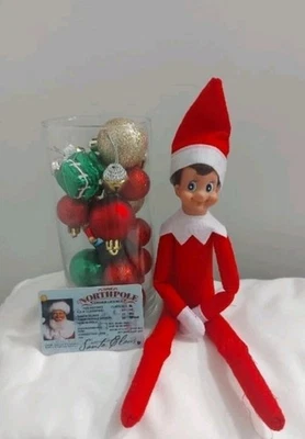 THE ELF ON THE SHELF New ListingElf On The Shelf Boy brown Hair Blue Eyes + Santa's Driver's License!
