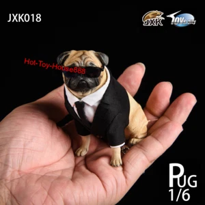 JxK 1/6 Suit Pug Dog Model Pet Model for 12''Action Figure Collection Decoration - Picture 1 of 11