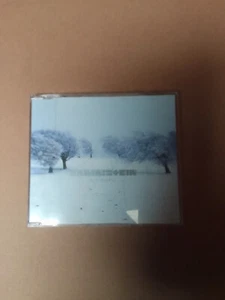 Rammstein - Das Modell CD Single (without Sticker) - Picture 1 of 3