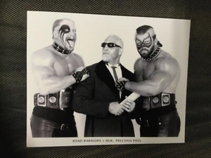 ROAD WARRIORS legion of doom hawk animal wwf awa classic 8x10 art print photo - Picture 1 of 1