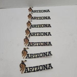 Lotto di 7 nuovi NOS vintage ARIZONA cowboy RICAMATO FERRO SU TOPPA *macchie vedi foto  - Foto 1 di 10