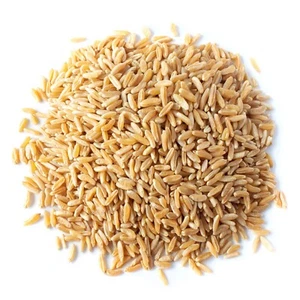 Organic KAMUT® Khorasan Wheat - Sproutable, Non-GMO, Kosher - by Food to Live - Picture 1 of 25