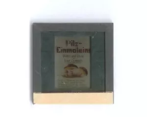 Pilz-Einmaleins, Diaserie Pilze, 40 Dias - Bild 1 von 3