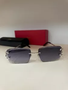 Cartier Women sunglasses - Color-silver - Picture 1 of 7