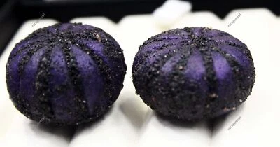 2 PIEZAS Piedras Preciosas Sueltas Natural Sin Cortar 283 Ct Púrpura Tanzanita Cruda Áspera CERTIFICADA Foto 1 de 4