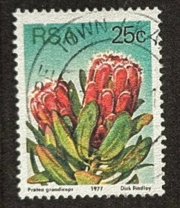 South Africa 1977, Protea grandiceps, SG 426c, vfu - Foto 1 di 1