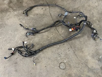 Arnés de cableado principal Harley Davidson Dyna Super Glide FXDI Street Rider 2006 OEM Foto 1 de 4