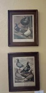 Pair of Wooden Framed Wall Art Pictures, Bird Home Decor 13" Tall - Picture 1 of 12