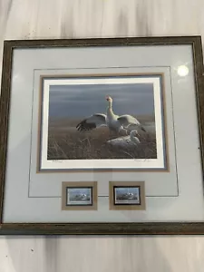 1989 CANADA Wildlife Habitat Conservation Stamps & Duck Print/Framed & Signed - Bild 1 von 11