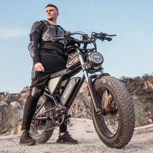   1000/1500/2000W 48/52V 15/20/40Ah 20'' Fat Tire Mountain Electric Bike - Picture 1 of 34