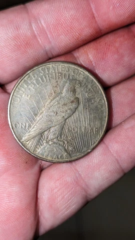 1926 LIBERTY HEAD PEACE SILIVER DOLLAR Real Patina!! Cover