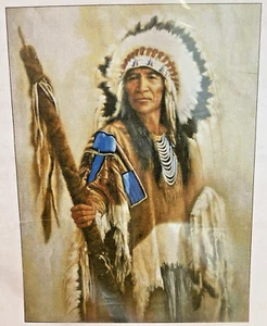 SHINYSUN Through My Eyes Native American Chief Cross Stitch Pattern Russ Docken - Picture 1 of 6