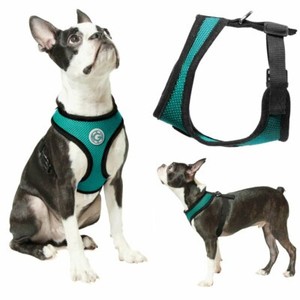 gooby dog harness amazon