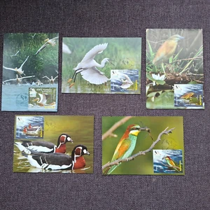 Romania 2012 Set birds/Vogel stamps (Michel 6629/33) used on illustrated postcar - Picture 1 of 2