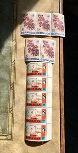 5 11 c Bahamas Flamingo stamps 1971 & 5 Bermuda 10 c Bouganvillea stamps, 1970 - Picture 1 of 6