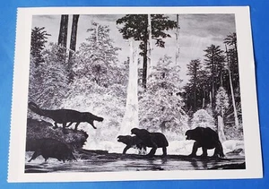 Postal Placeria Herd con Lythrodynastes Dinosaurios 1987 Prensa para Correr 6.5"x4.75" - Imagen 1 de 2