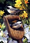 Eden - Birds - Tree Free Greeting Card - 12543
