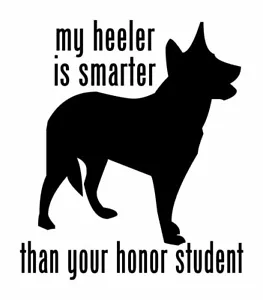 Australian Cattle Dog Smarter Honor Student Aufkleber #1 5"x5,5" Farbe wählbar - Bild 1 von 2